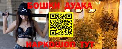 сатива Краснокаменск