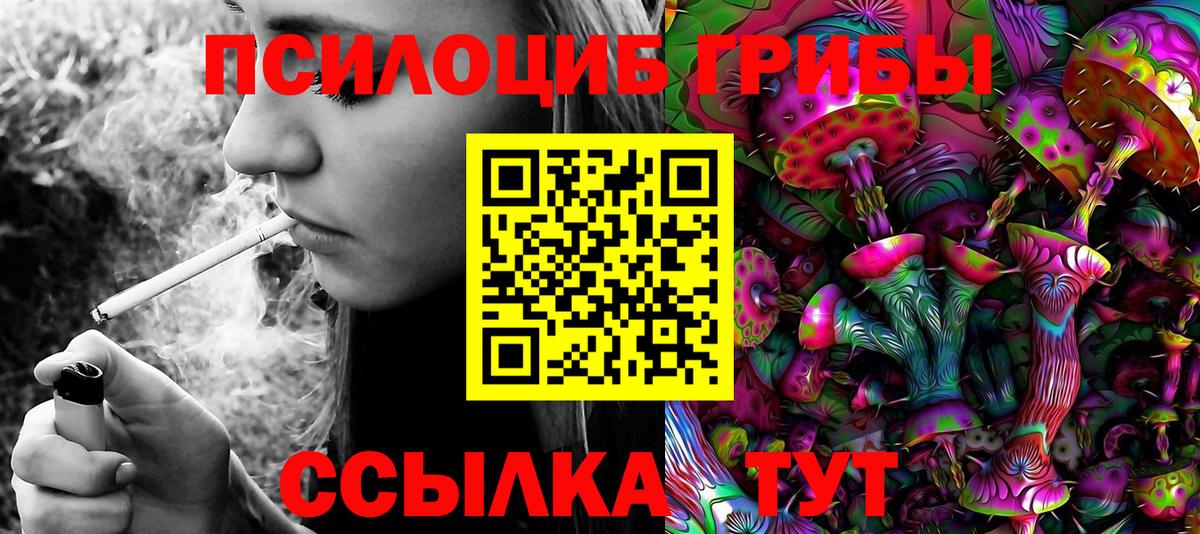 Котовск  Псилоцибиновые грибы MAGIC MUSHROOMS  купить наркоту  Вход с VPN 